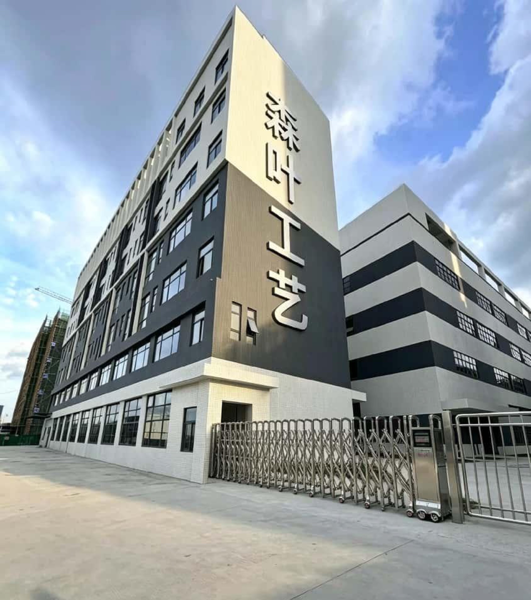 Huizhou Senye factory building